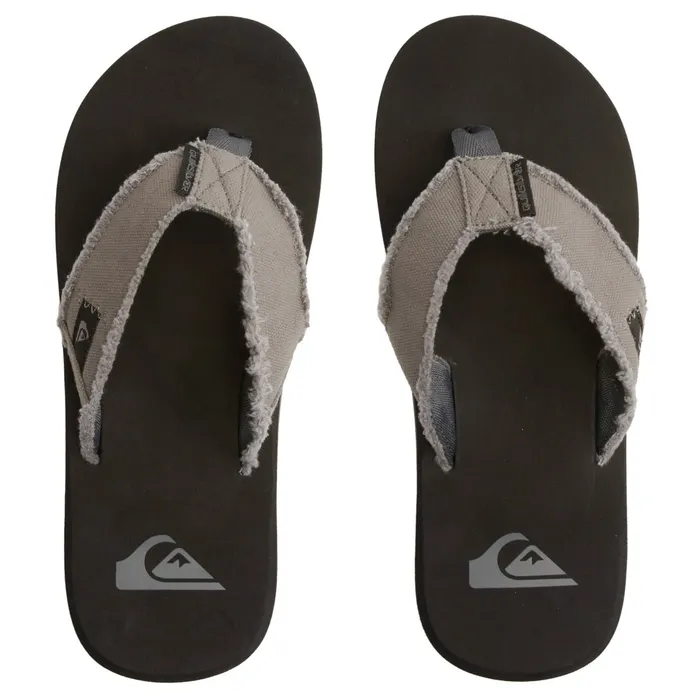 Quiksilver Monkey Abyss Teenslipper Heren