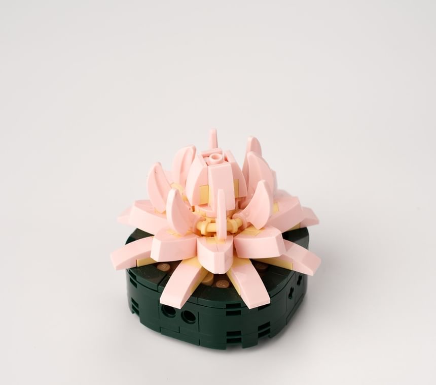 Miumi - Tuinpot-bouwsteenspeelgoed (verschillende ontwerpen)