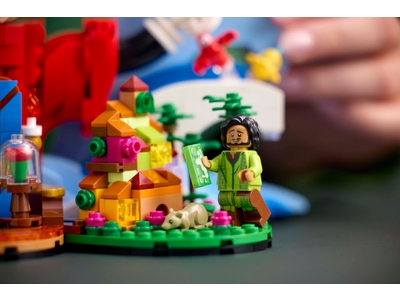LEGO Disney magie (21352)
