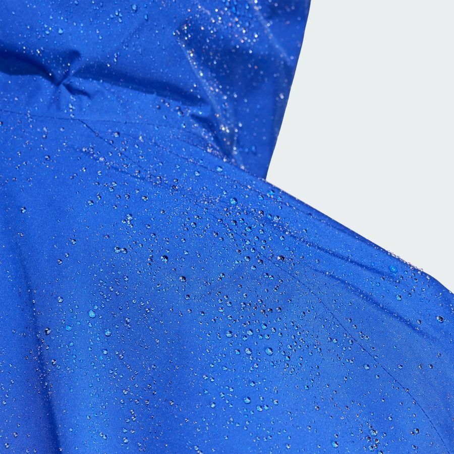Adidas Veste Terrex Xperior 2L GORE-TEX Performance