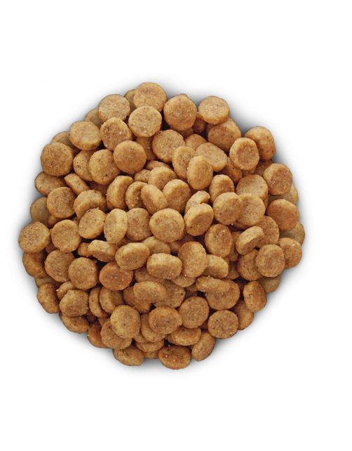 Hill's Prescription Diet K\/D Kidney Care Zak Kip - Hondenvoer