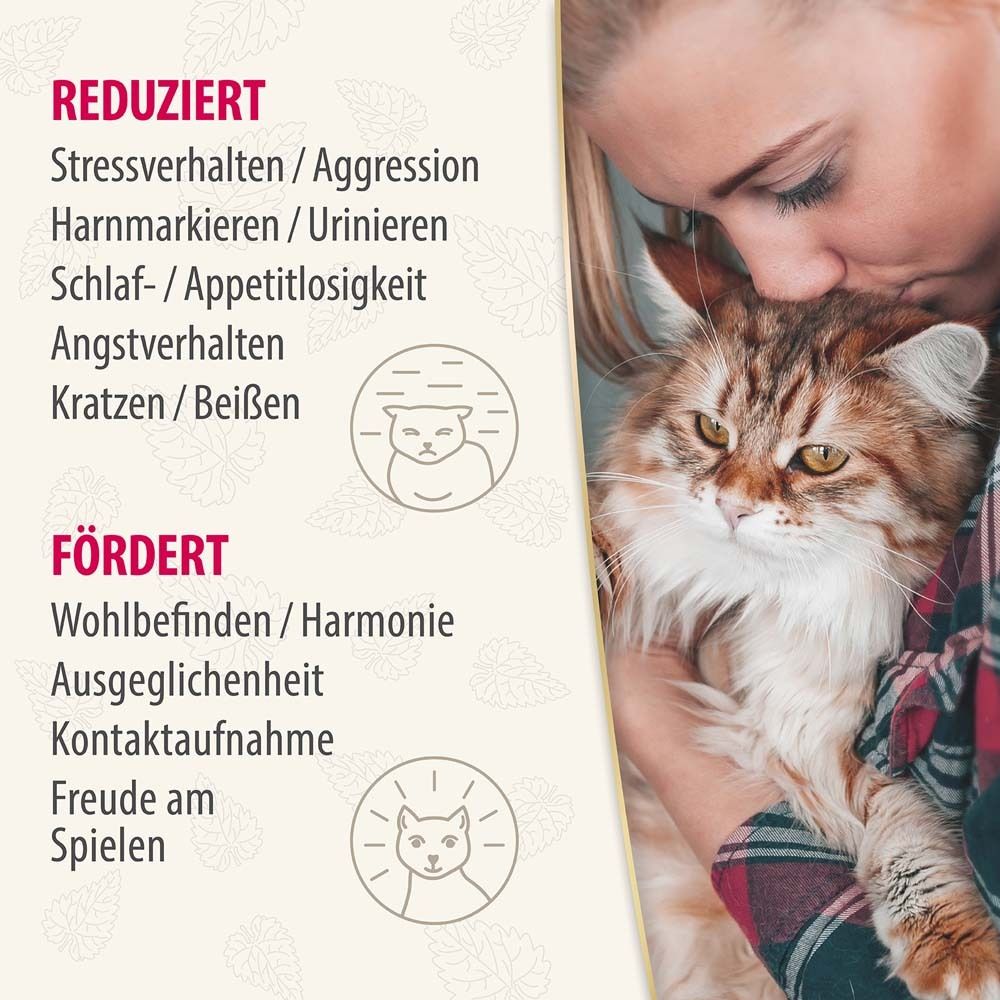 Felisept Home Comfort Beruhigungshalsband für Katzen