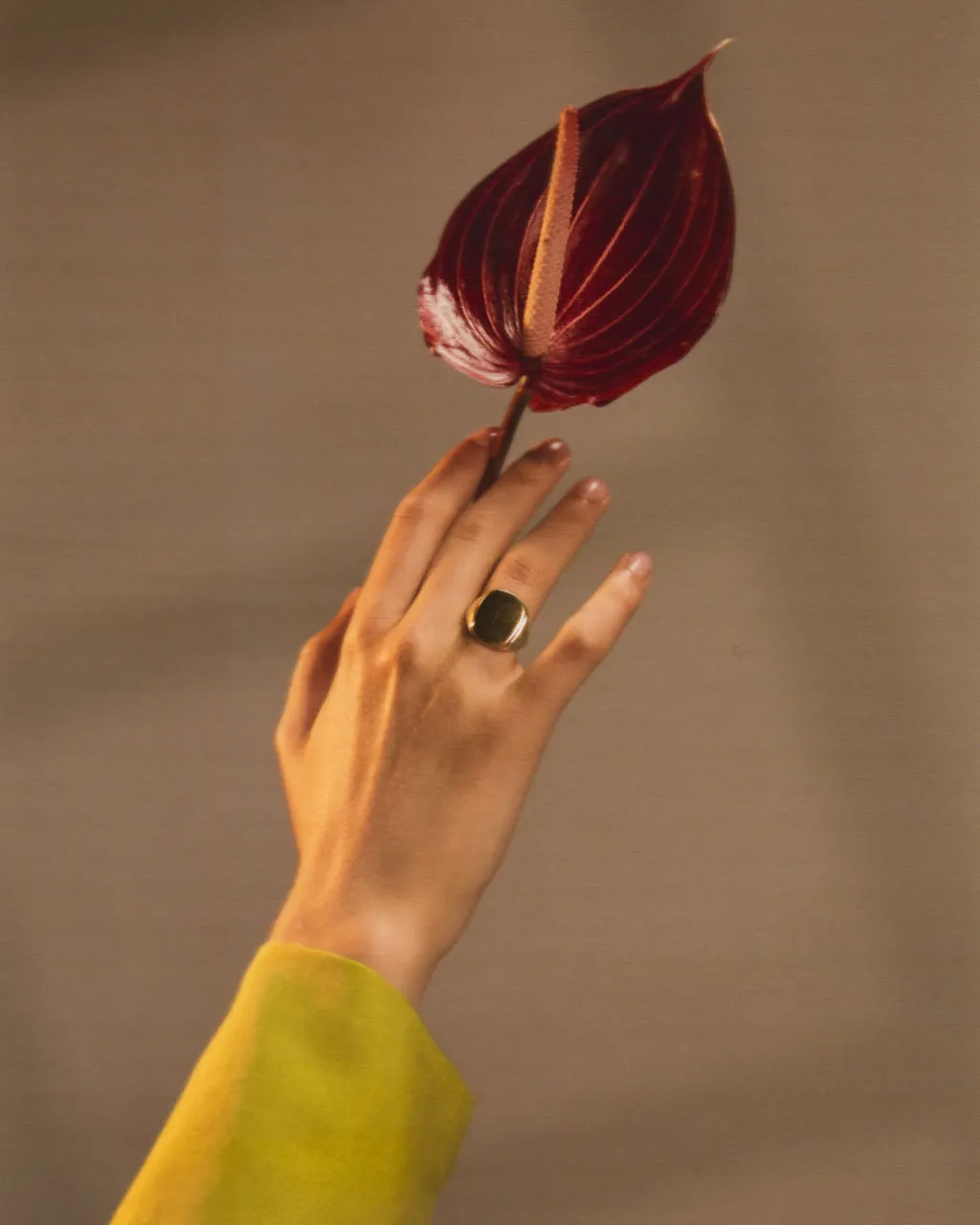 Bague Eddie Daphine