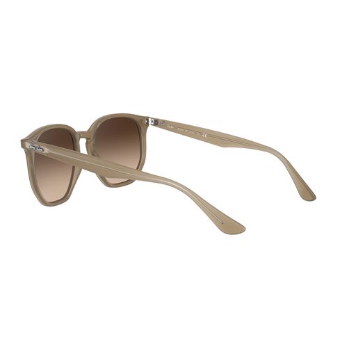 Ray Ban RB4306 Solbriller, Brun