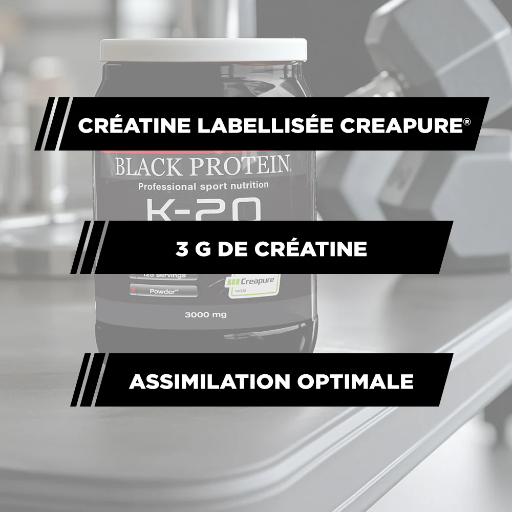 BLACK-PROTEIN Gregorian Hx / Gainer