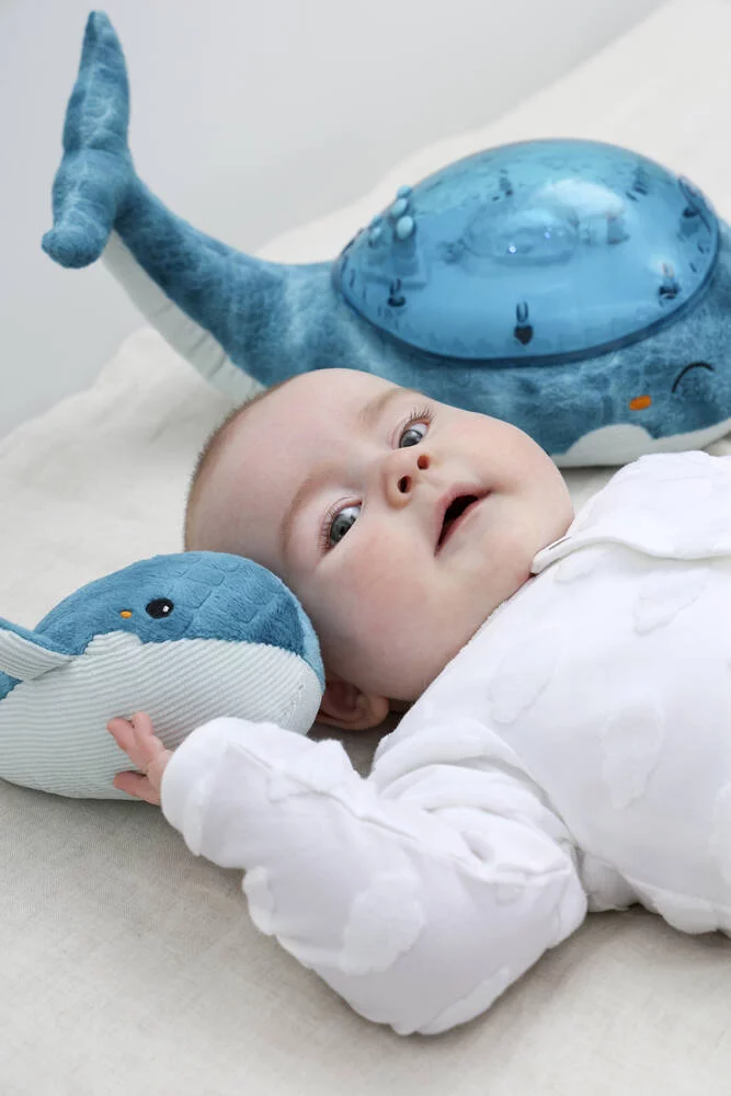 TRANQUIL WHALE™ - BLUE FAMILY