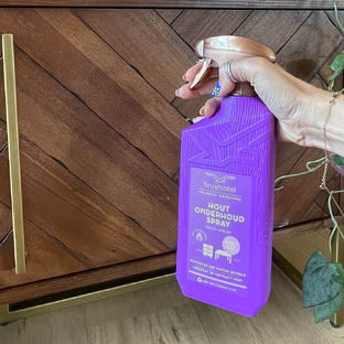 Bruynzeel Cosmetic Homecare Hout Onderhoud Spray Fresh Wood 500ML