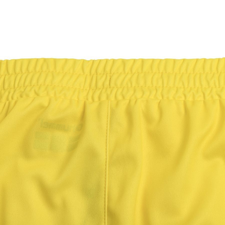 Danemark Short de Gardien 2023/24