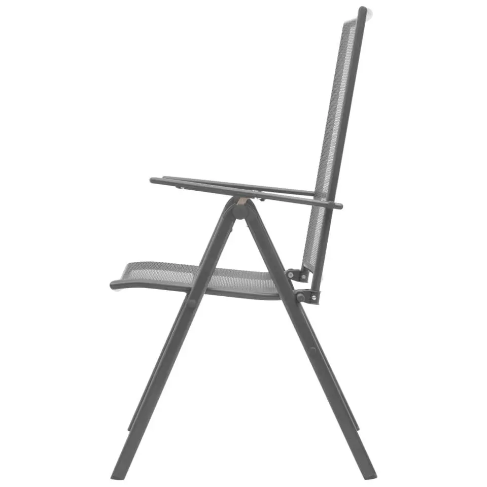 vidaXL - Tuinstoelen - Antraciet - Metaal - 2 stuks - Stapelbaar