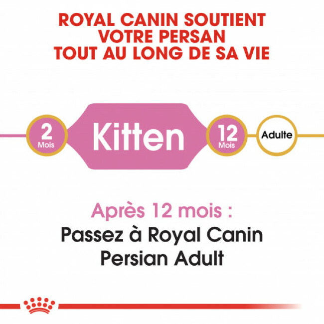 Croquettes pour chaton Royal Canin Persian Kitten