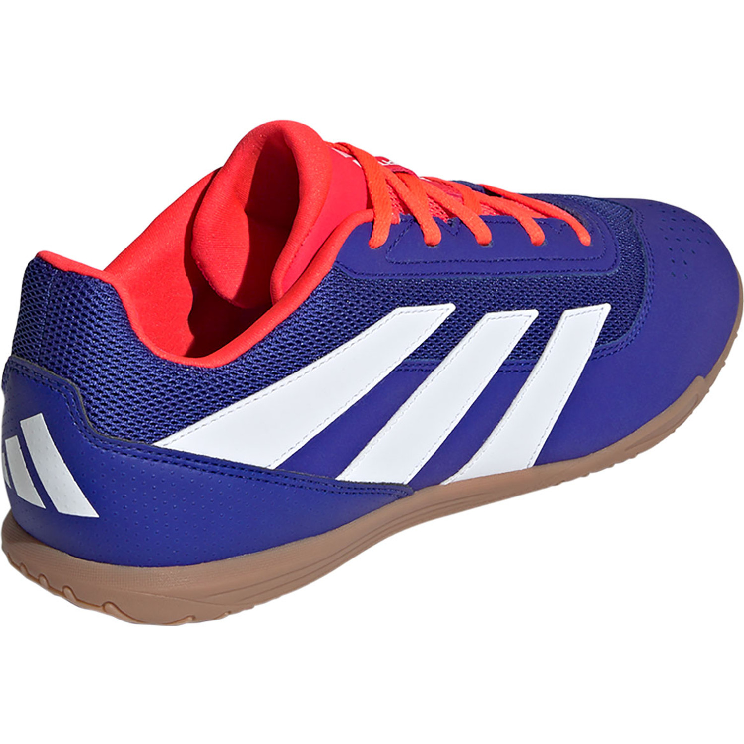 adidas Predator Club Indoor