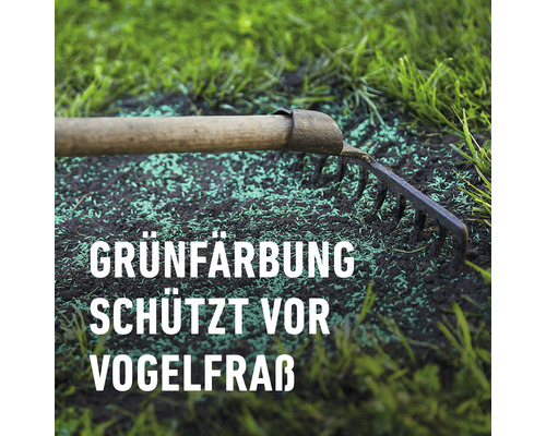 Schaduwgazon COMPO SAAT® 1 kg 50 m²