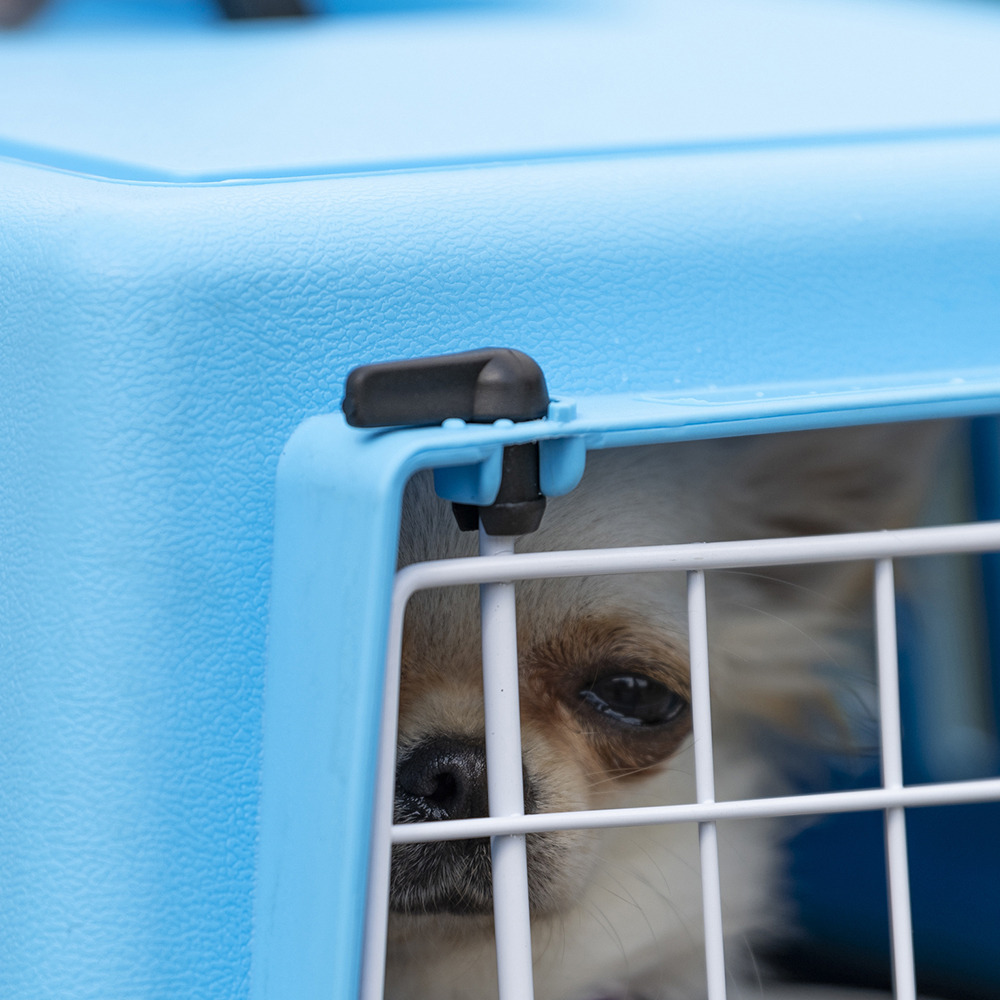 Transport rigide pour chats et chiens de petite taille atlas 10 el, porte an acier plastifié, grilles pour l'aération