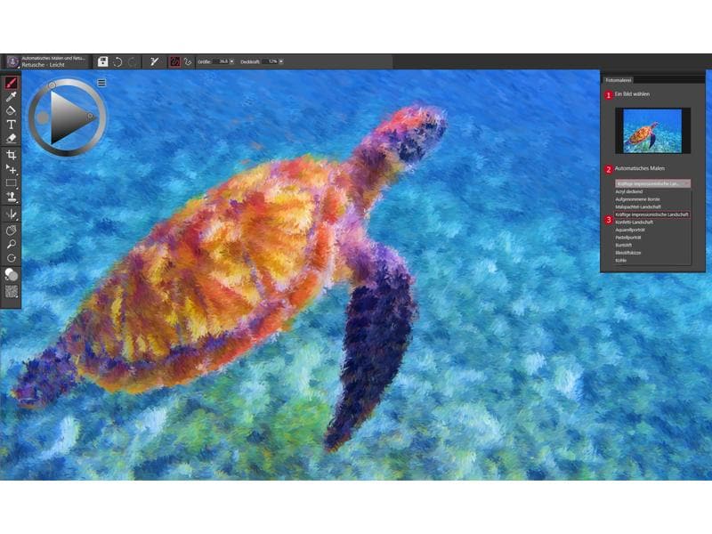 Corel Painter Essentials 8 ESD, Vollversion Einsteiger-Malprogramm für Windows