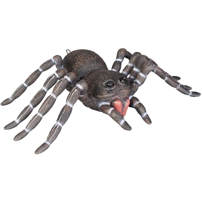 Spinne - 30 cm