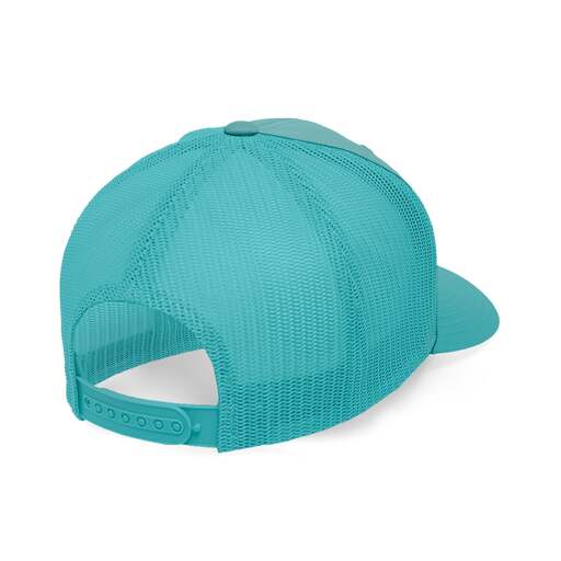 Tartaruga Gorra Hanukeii