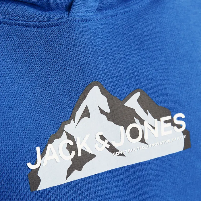 Jack & Jones Mountain Logo Hoodie Junior