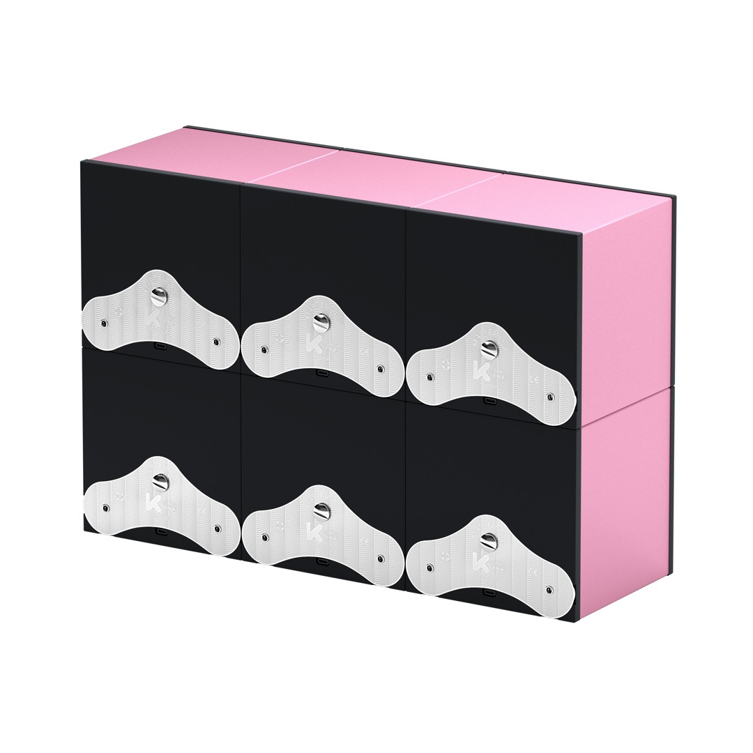 SwissKubik Masterbox Aluminium Rosa - 6 Uhren