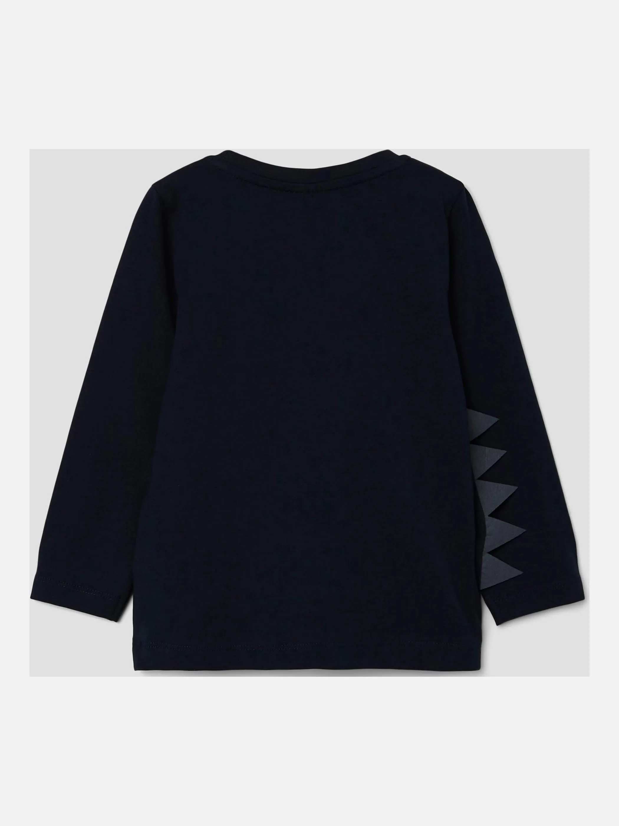 Jungen Longsleeve mit Dinoprint