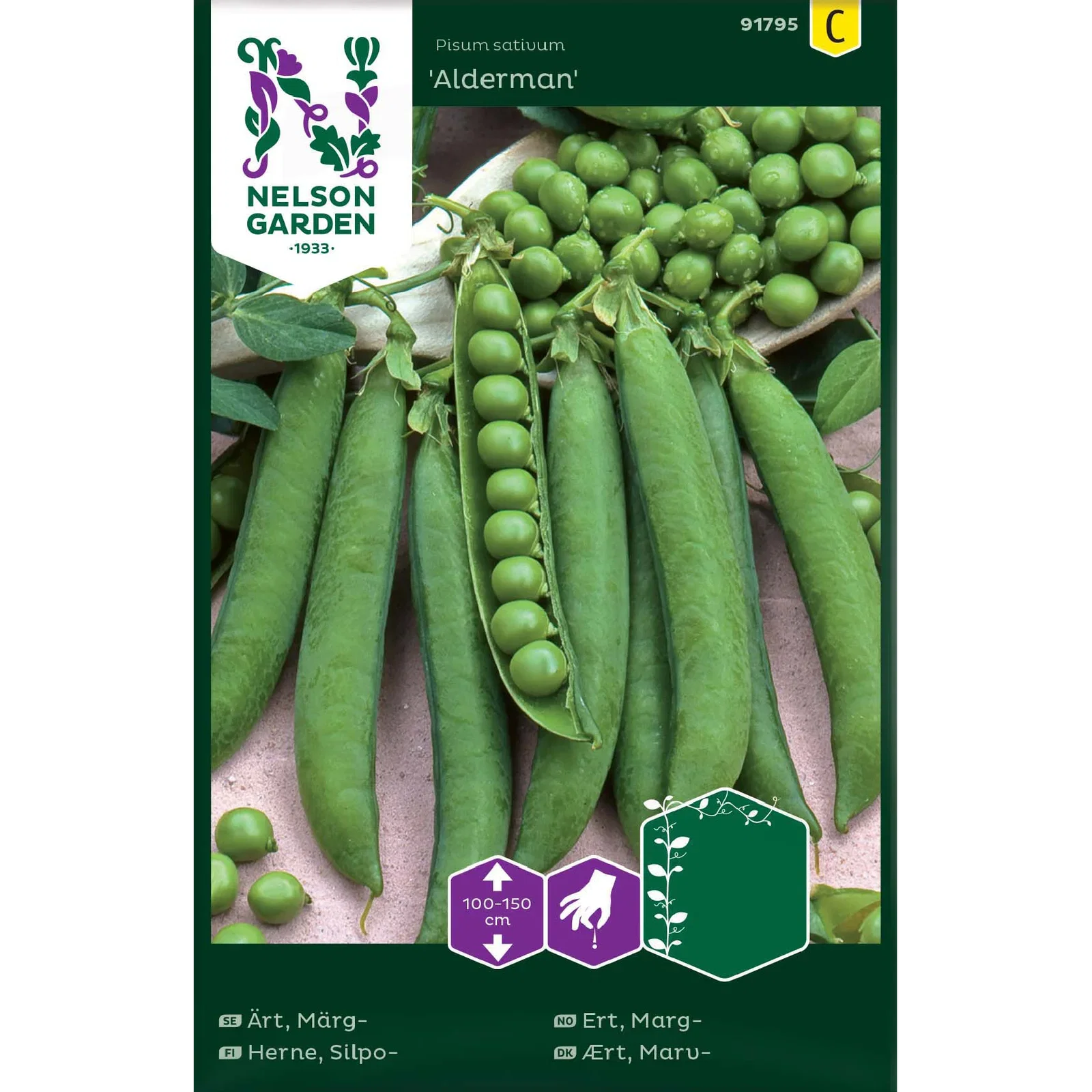 Pisum sativum 'Alderman' Margert 'Alderman'