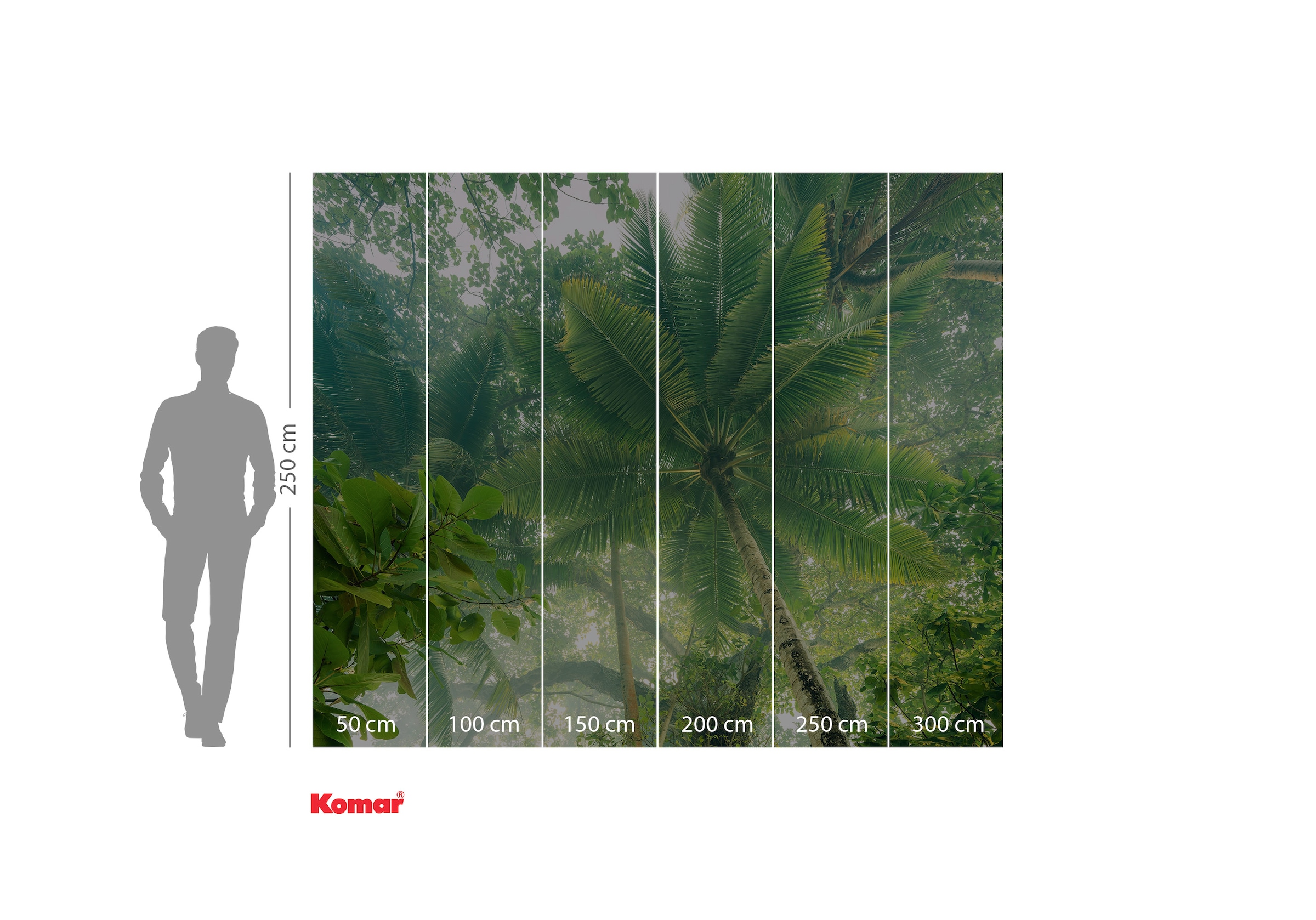 Komar Fototapete »Digitaldruck Vlies -  Climber Canopy - Grösse 300 x 250 cm« bedruckt | floral | geblümt | gemustert | tropisch glatt Wohnzimmer, Schlafzimmer