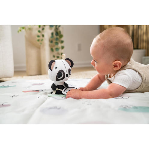 Jouet musical intelligent Black & White - TINY LOVE