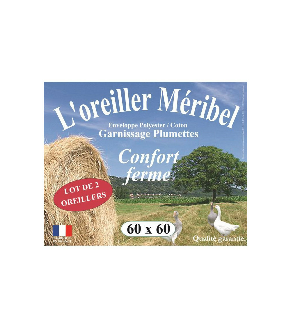 Lot de 2 oreillers meribel plumettes 60x60cm