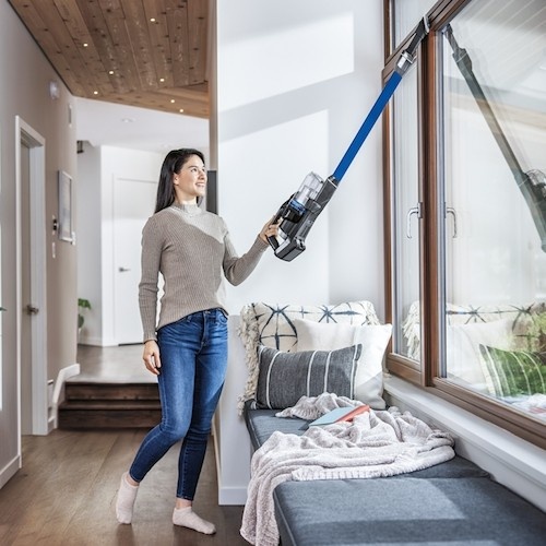 Aspirador de pó sem fio Bissell Icon Turbo Pet 25V