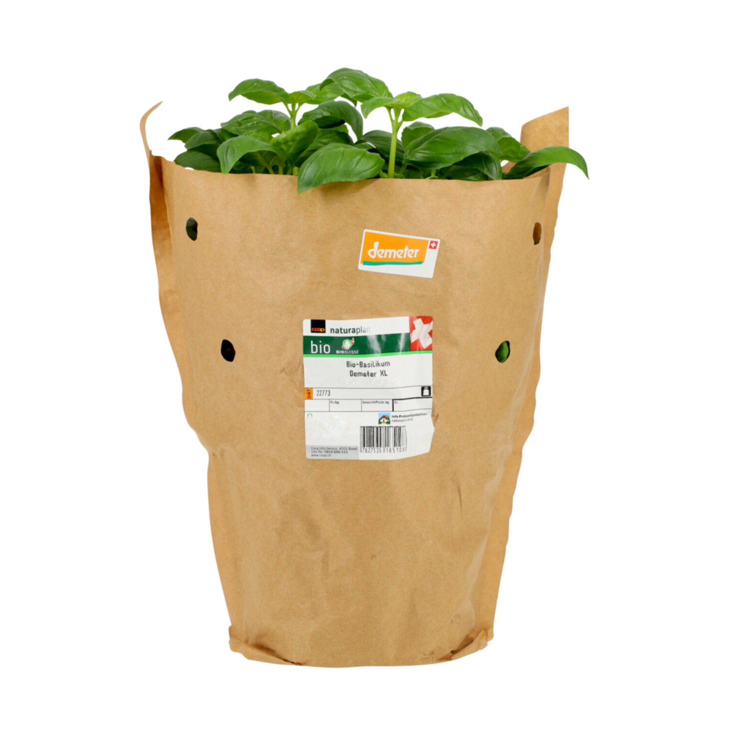 Naturaplan Bio Demeter Basilikum im Topf XL -