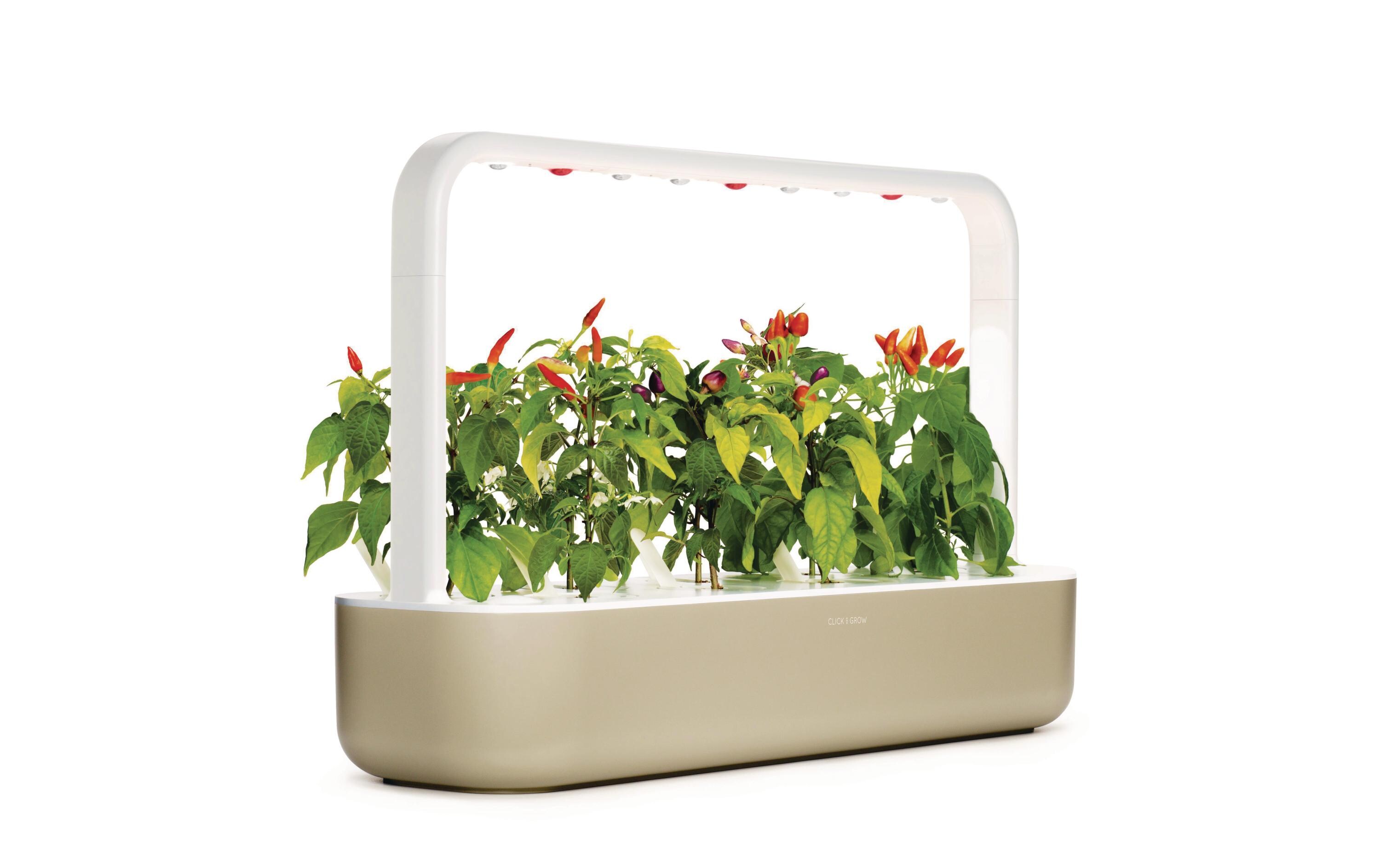 Kräutertopf Smart Garden 9 Beige<br>Intelligentes Pflanzengefäss