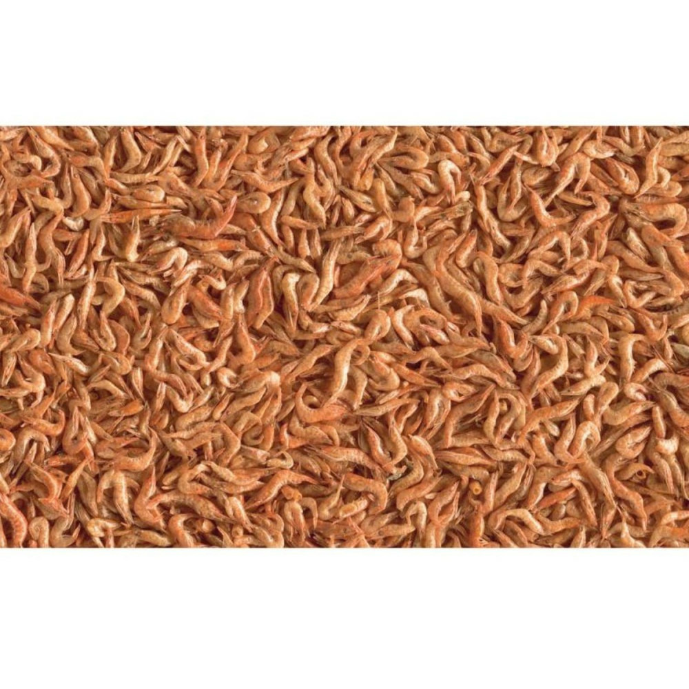Crevettes séchés 250ml/20g reptodelica pour les tortues d'eau