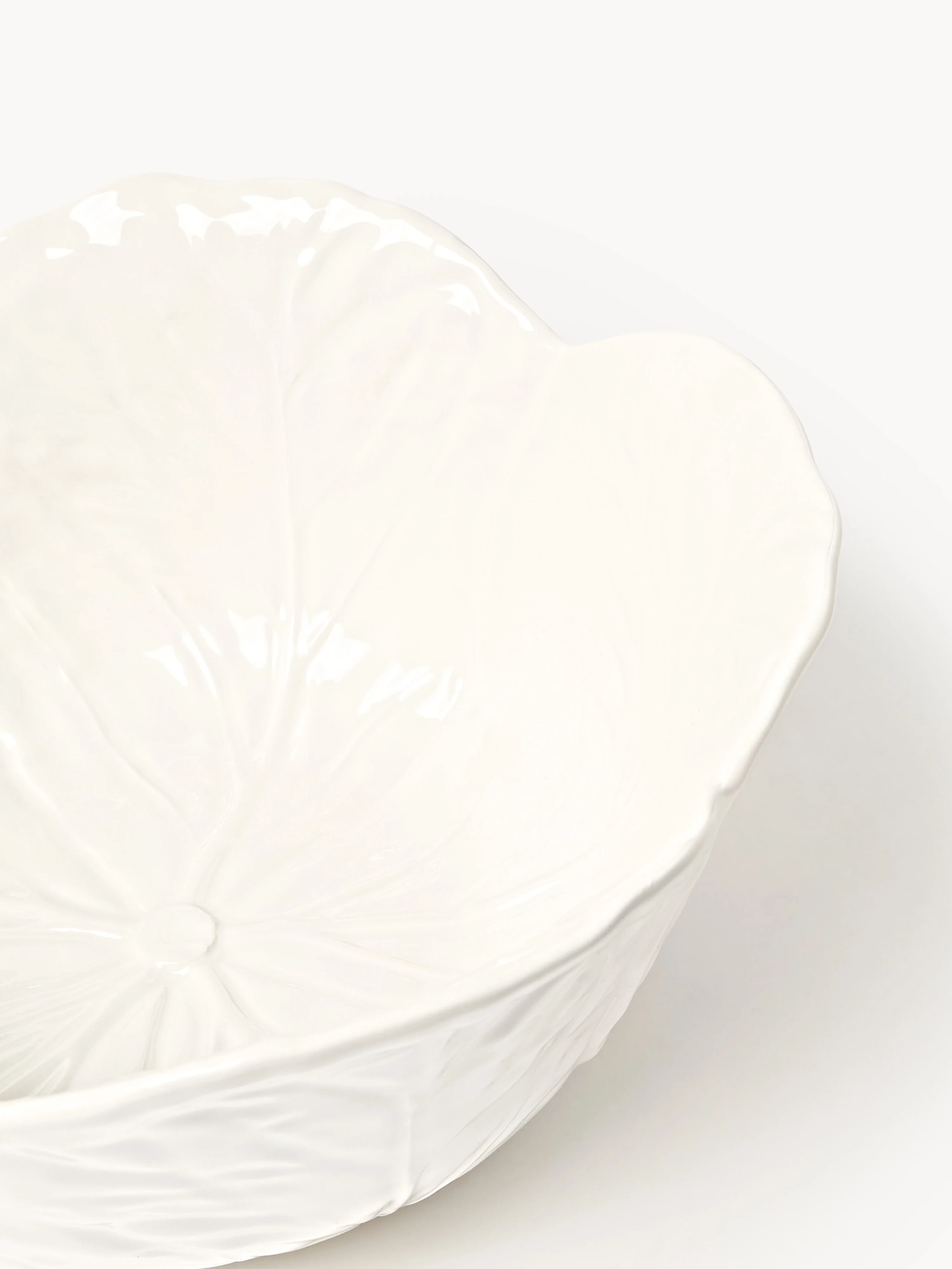 Saladeschaal Cabbage