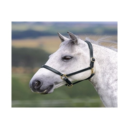 Cabresto de couro Blenheim Ragley para cavalos