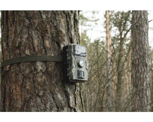Technaxx Wildcam TX-256 Wildlife Camera, op batterijen werkende bewakingscamera voor binnen- en buitengebruik, ca. 13,6 x 10 x 6,4 cm, Full HD