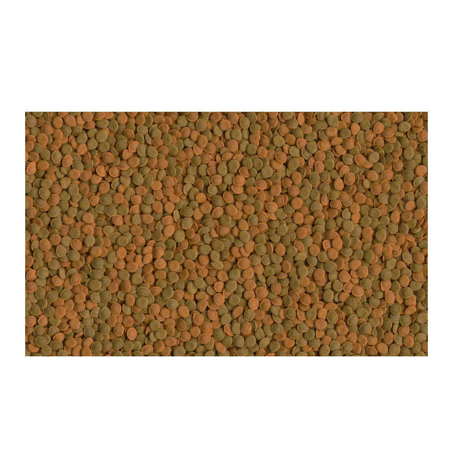 Comprimidos TetraWafer Mix para peixes herbívoros e carnívoros