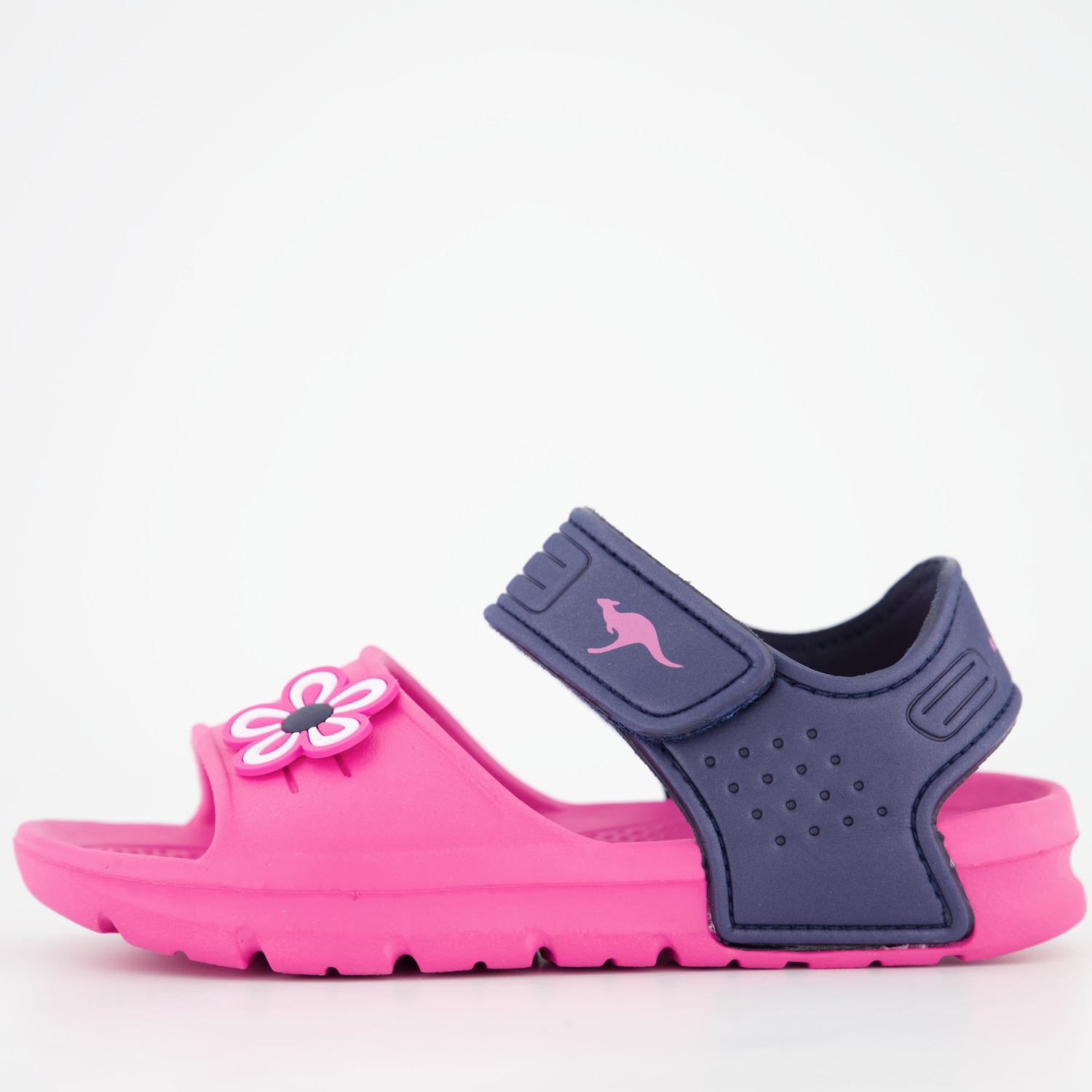 Kangaroos KangaSwim