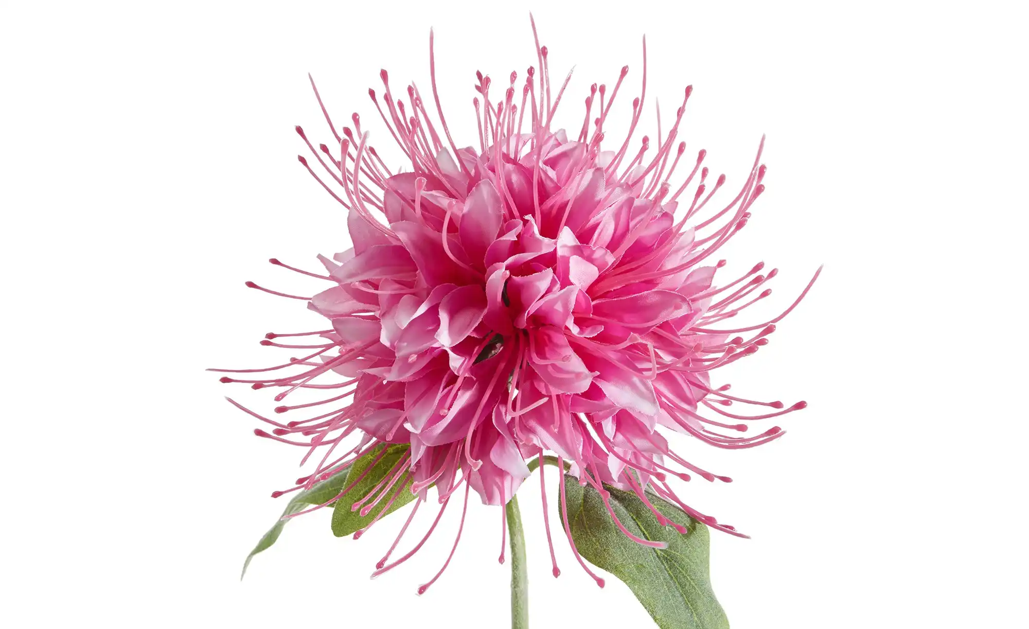 HOME STORY Kunstblume Monarda
