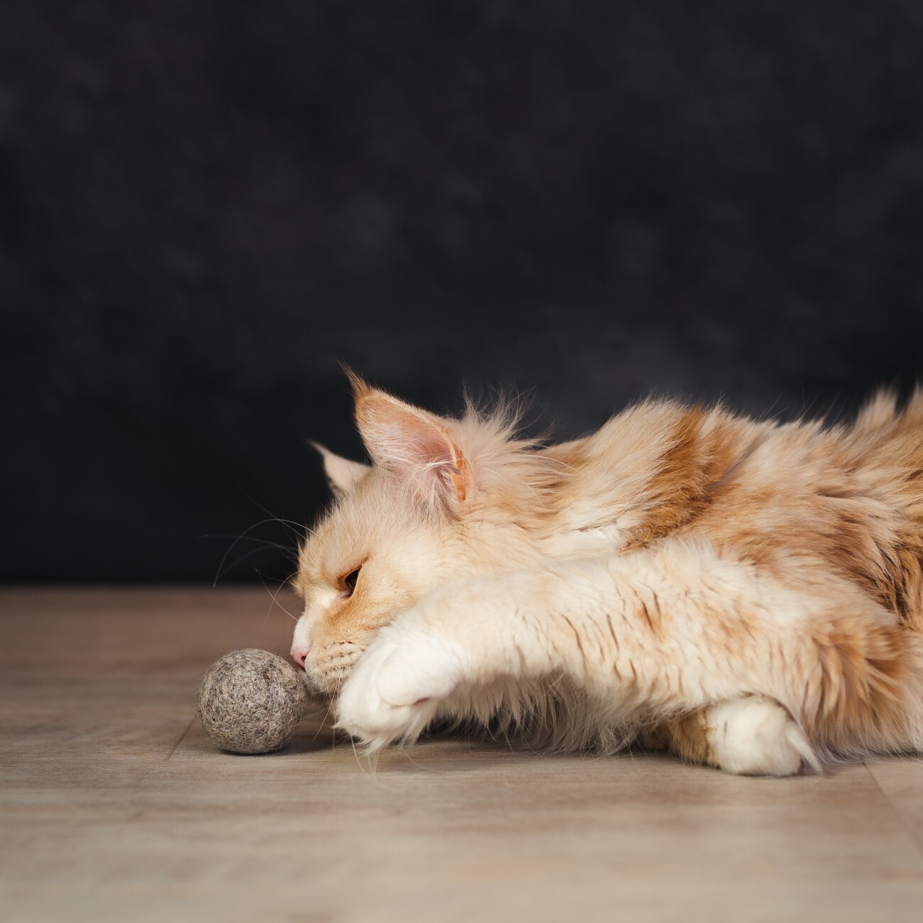 Catlabs Katzenspielzeug Flinke Filzbälle aus Schafwolle 2er Pack