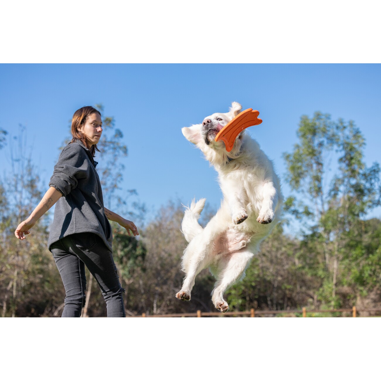 ChuckIt ultra flying squirrel
