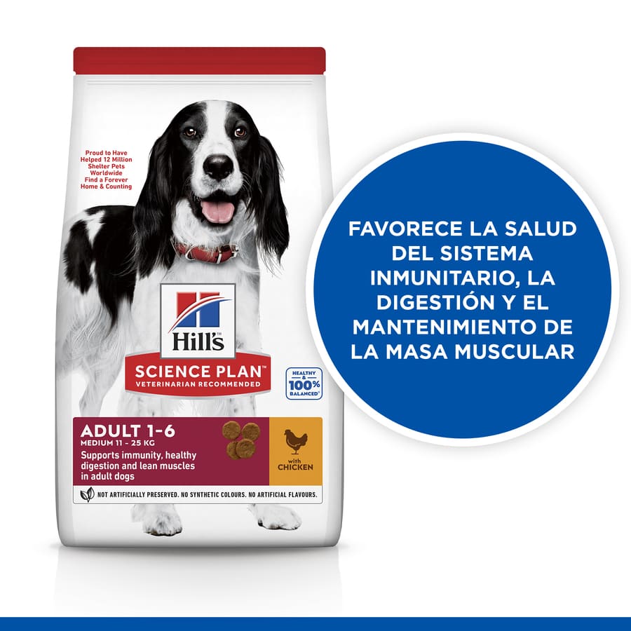 Ração Hill's Science Plan para cães adultos de porte médio com sabor de frango.