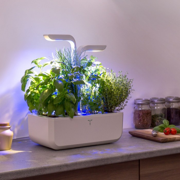 (4-fach) Classic Kräutergarten Indoor Gemüse Beet Blumen Anzucht mit LED Beleuchtung / Wassertank (VPOT-CAWAW-A-1) - Arctic White