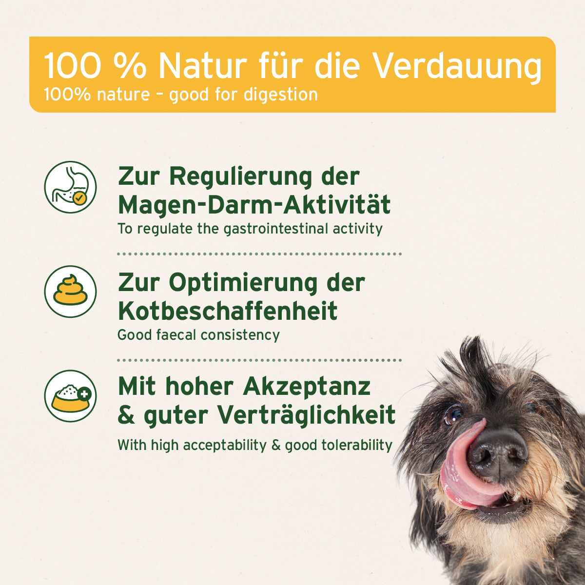 AniForte Heilmoor