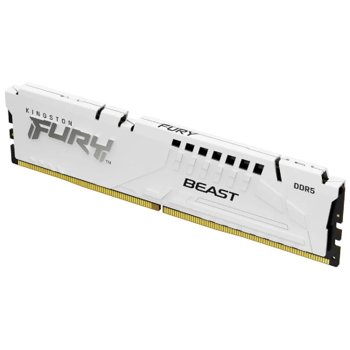 Kingston KF556C36BWEK2-64