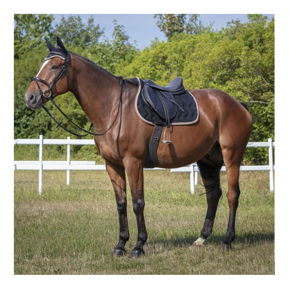 Equitheme POLYFUN PONY - Tapis mixte noir