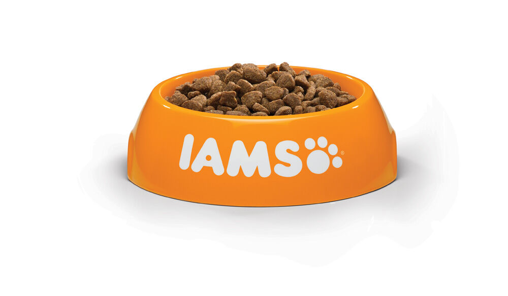 Iams Senior - Kattenvoer - 3 Kilogram - vis
