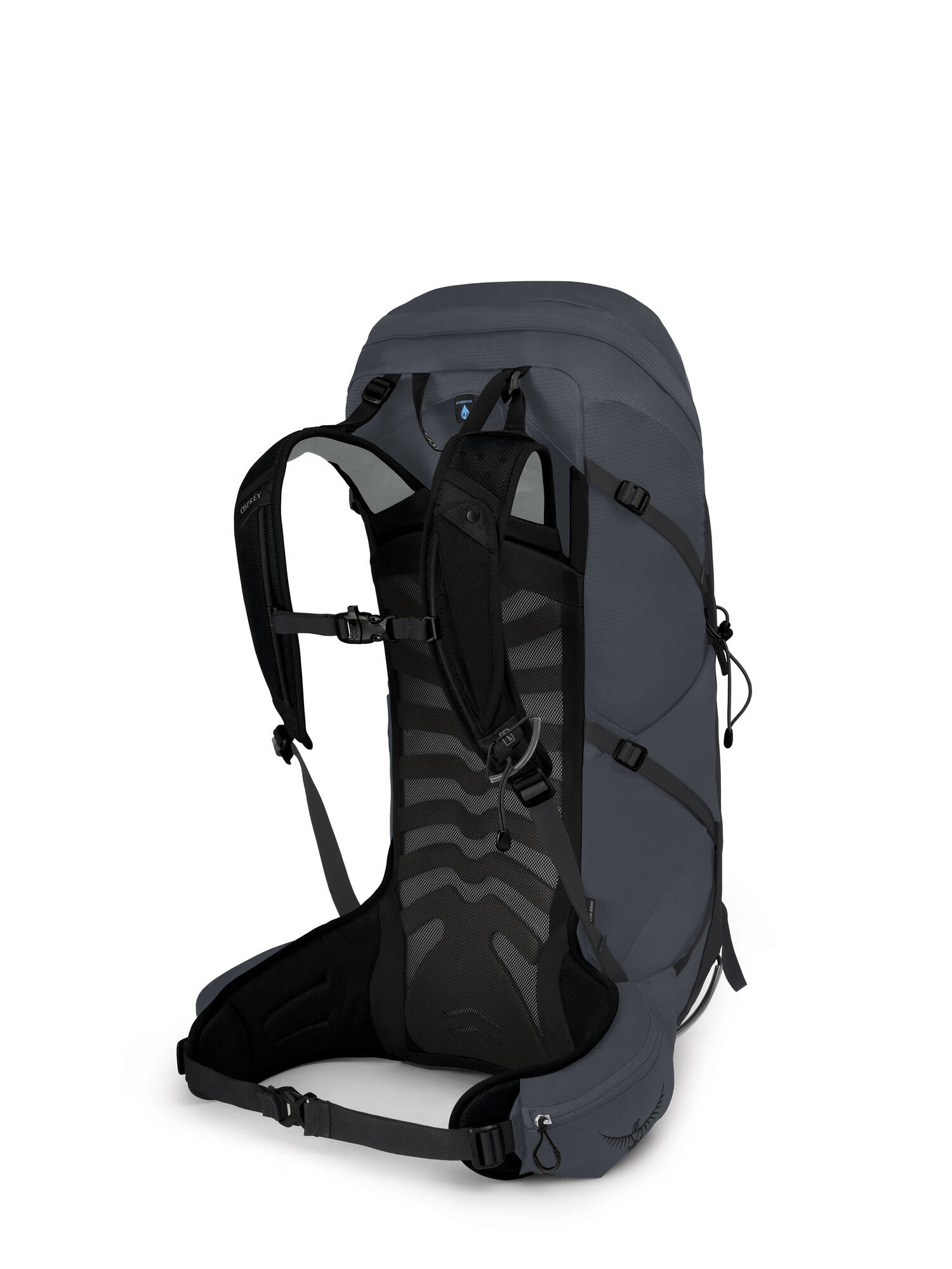 Talon 36 406/Eclipse Grey