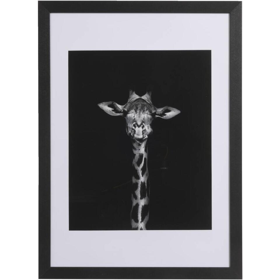 Fotolijst Haarlem - zwart - 50x70 cm