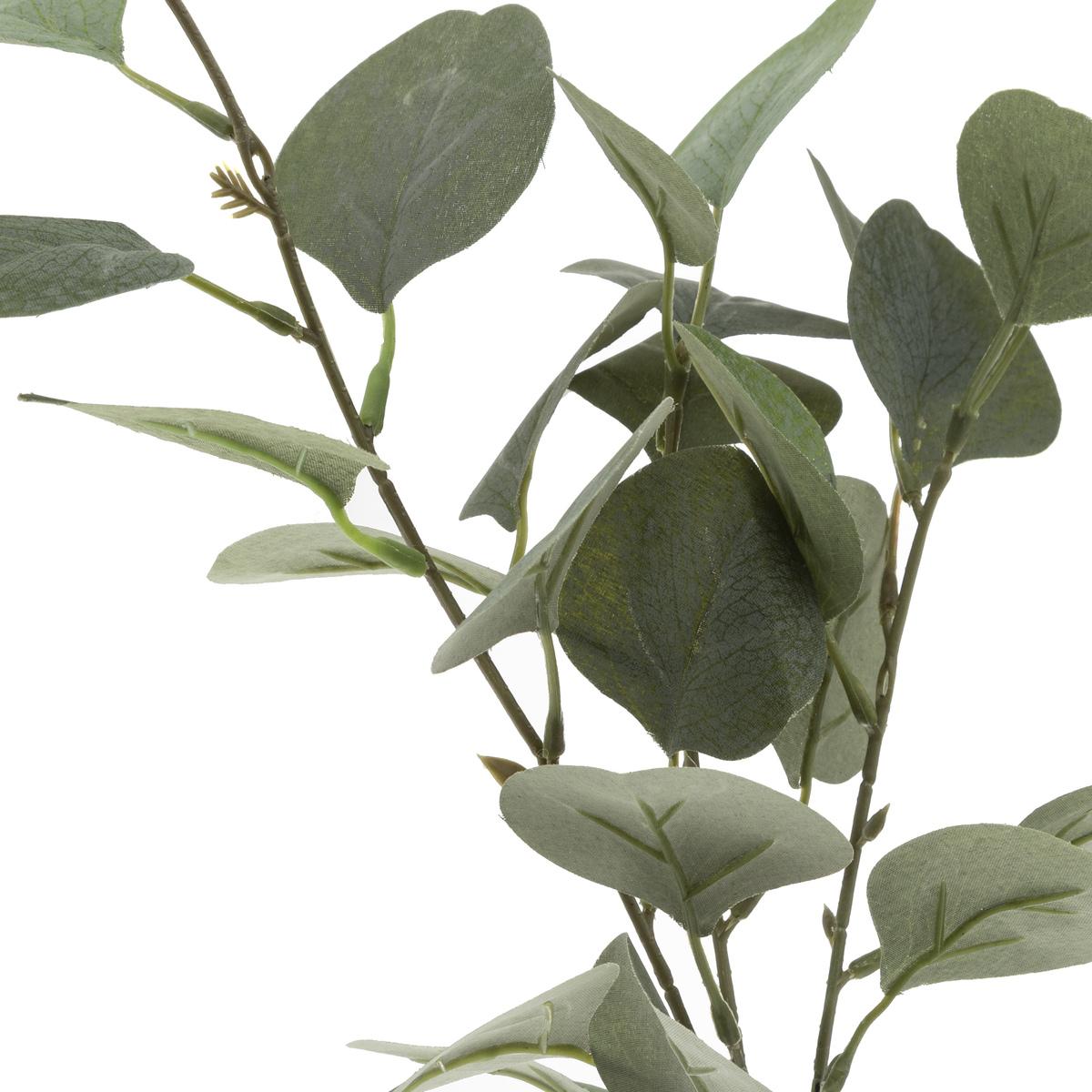VASE EUCALYPTUS ET CORDE H.45CM