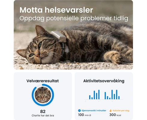 Tractive Tractive GPS CAT Mini - Brown