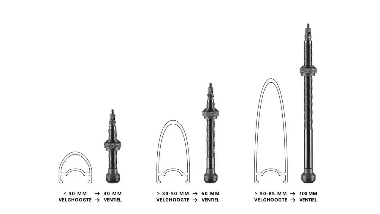 Schwalbe Tubeless Ventiel 2 stuks